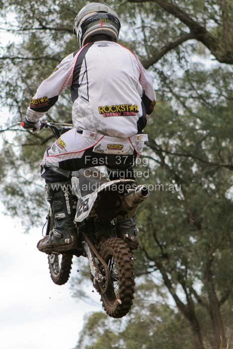 445x677 pixels (64K)